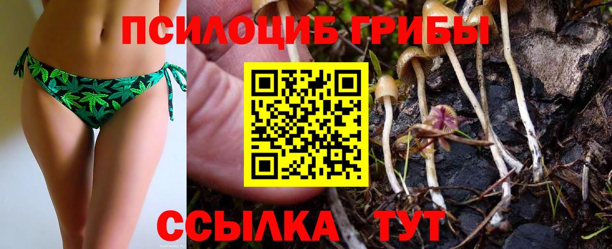 Псилоцибиновые грибы Magic Shrooms Миасс